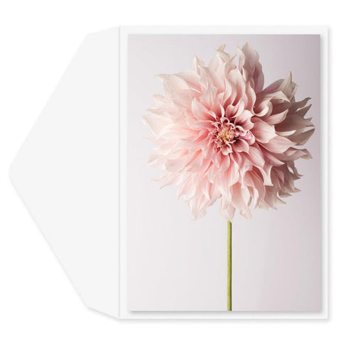 Blank Greeting Card - Pretty as a Flower
