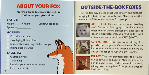 Hug a Fox Kit