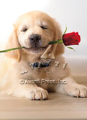Valentine's Day Greeting Card  - Golden Puppy with Rose