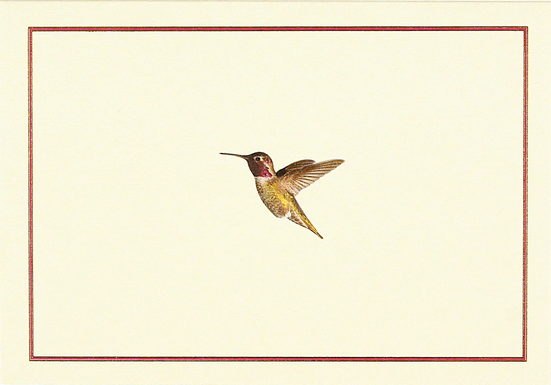 14 ct. Hummingbird Flight Note Cards