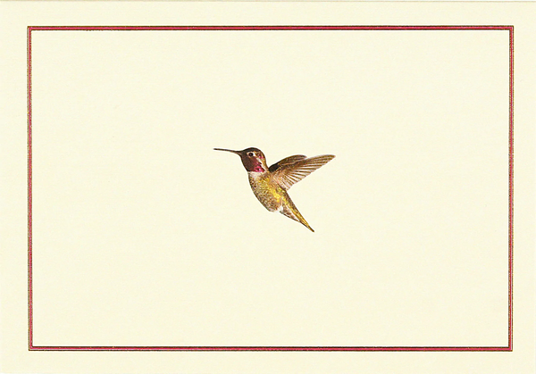 14 ct. Hummingbird Flight Note Cards