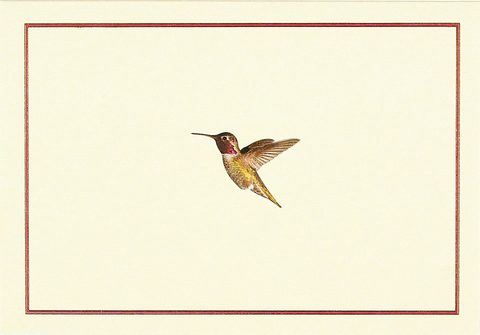 14 ct. Hummingbird Flight Note Cards