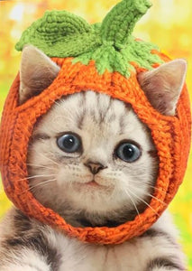 Halloween Greeting Card - Kitten in Knit Pumpkin Hat