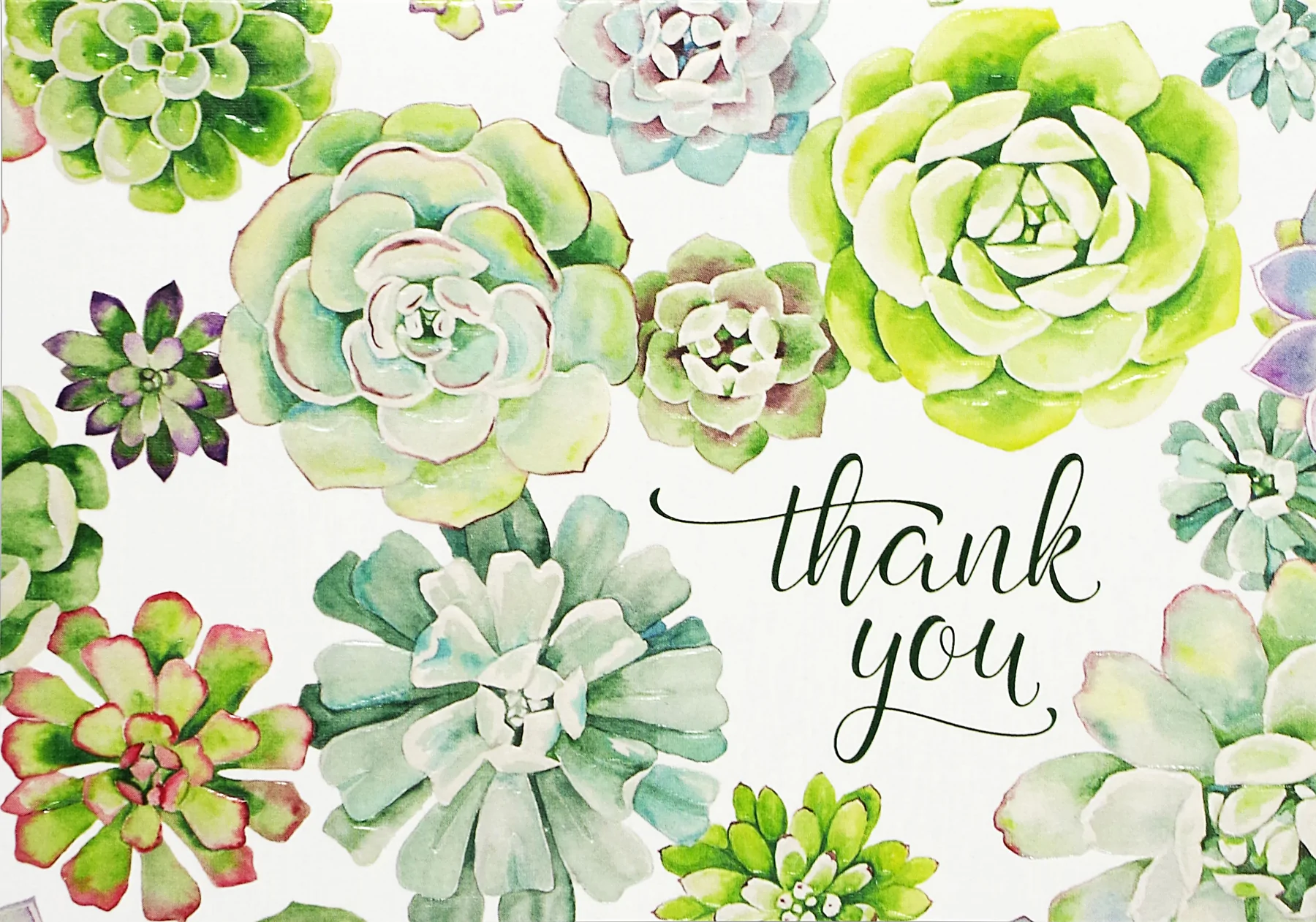 14 ct. Succulent Garden Thank You Notes