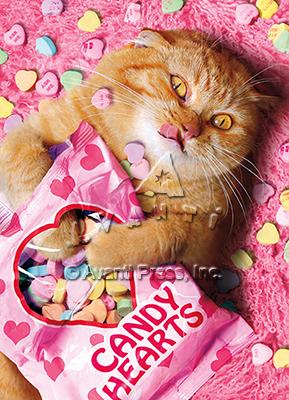 Valentine's Day Greeting Card  - Sweetheart Cat
