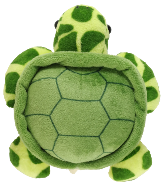 Hug a Sea Turtle Kit