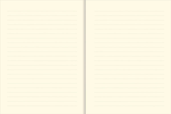 Universe Journal